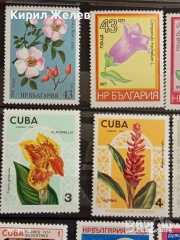 Стари пощенски марки от цял свят смесени ЦВЕТЯ без печат за КОЛЕКЦИЯ 52074, снимка 4 - Филателия - 53228641