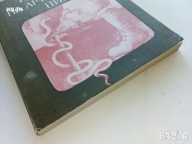 Историята на Артър Гордън Пим - Едгар Алан По - 1980г., снимка 6 - Художествена литература - 50052216