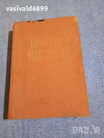 Медински - Повест за младостта , снимка 2 - Художествена литература - 50823415