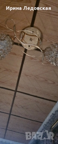 полюлей, снимка 2 - Полилеи - 52288170