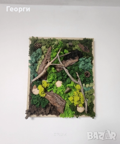 Картини със скандинавски мъх, снимка 4 - Картини - 52174345