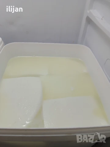 Козе сирене, снимка 1