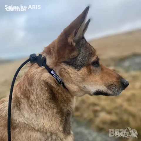 Fenrir Slip Leash 1,4 м с пружинен стопер (зелен), снимка 4 - За кучета - 49824944