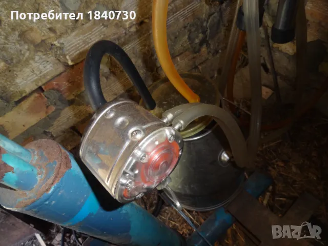 агригат за доене на крави, снимка 3 - Крави - 50390252