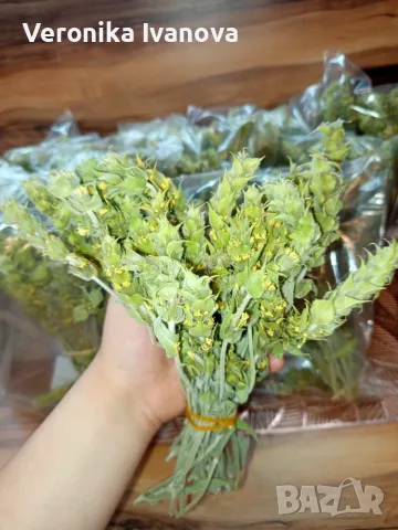 Мурсалски, балкански и мащерка , снимка 7 - Други - 56185668