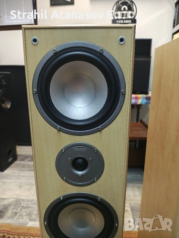 Magnat Monitor 880 Двулентови Тонколони, снимка 6 - Тонколони - 53443746