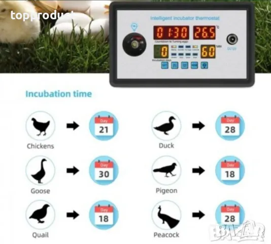 Управление за инкубатор, терморегулатор, влагоконтролер, снимка 3 - Друга електроника - 48942166