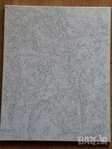 Картина за рисуване по номера, снимка 3 - Картини - 53593048