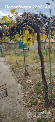 Продавам къща в село тъжа, снимка 10 - Къщи - 56183168