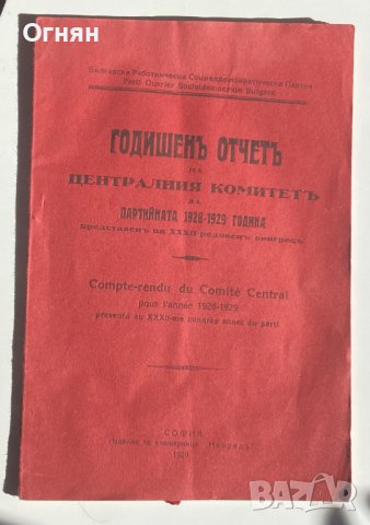 Годишен отчет на ЦК на БРСДП 1929, снимка 1
