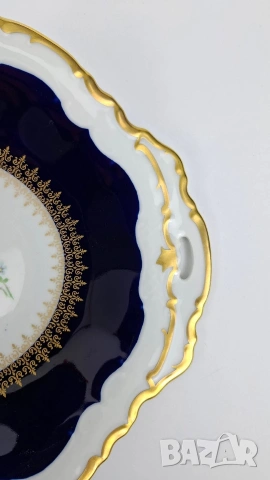 Кобалтова фруктиера - Reichenbach, Германия, снимка 5 - Други - 53192576