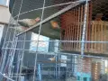 продавам декоративни гугутки , снимка 3