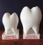 Подарък за зъболекар (стоматолог) и зъботехници, снимка 1