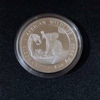 Сомалия 2024 - 100 Шилинга - 1 OZ - Сребърна монета, снимка 1 - Нумизматика и бонистика - 44186246