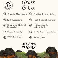 Grass & Co. BIOME - органична гъба чага на прах с куркума и джинджифил,без ГМО, без глутен 46 порции, снимка 2 - Хранителни добавки - 44207596