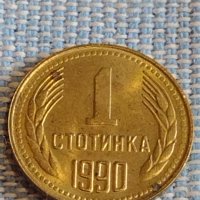 Две монети 1 стотинка 1951г. / 1 стотинка 1990г. България перфектно състояние за КОЛЕКЦИЯ 39529, снимка 6 - Нумизматика и бонистика - 44429284