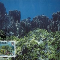Тувалу 1992 - 4 броя Карти Максимум - WWF, снимка 2 - Филателия - 38788960