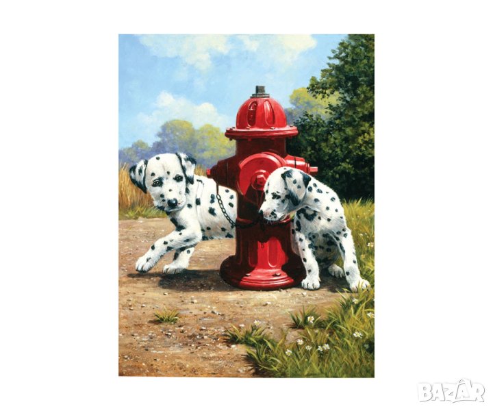 Комплект с акрилни бои Royal Junior, кученци-далматинци, снимка 1