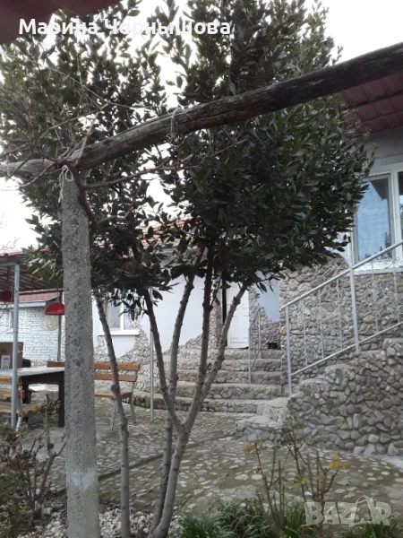 Къща за продажба, снимка 1
