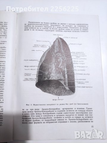 Ръководство по болести на дихателната система , снимка 4 - Специализирана литература - 41716564