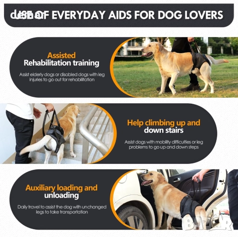 Регулируем опорен колан за повдигане на кучета за задни крака, XL, снимка 5 - За кучета - 52415642