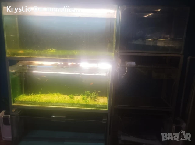 Продавам Аквариуми , снимка 3 - Рибки - 51069618