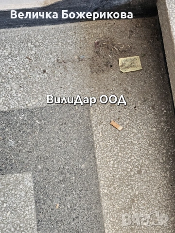 Почистване на входове , снимка 14 - Почистване на входове - 53663804