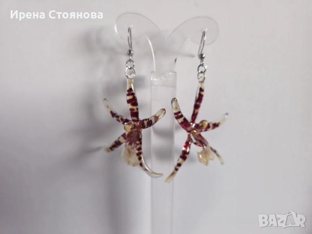 Обеци с естествен цвят на орхидея Brassia, снимка 5 - Обеци - 53662889