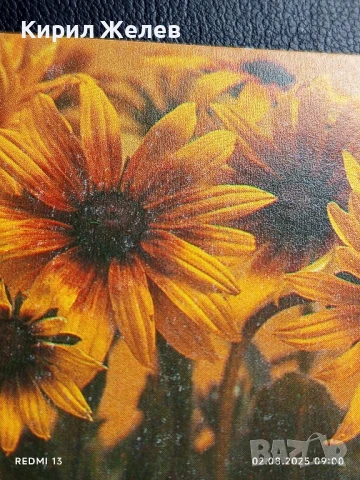 Старо календарче 90г. серия цветя много красиво за КОЛЕКЦИЯ ДЕКОРАЦИЯ 12072, снимка 2 - Колекции - 51223740