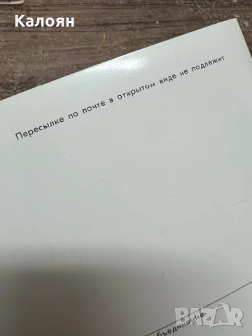 Стерео картичка с таралеж и мухоморка от 1988 г, снимка 4 - Колекции - 49419840