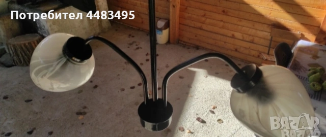 Полилей, снимка 3 - Полилеи - 53416265