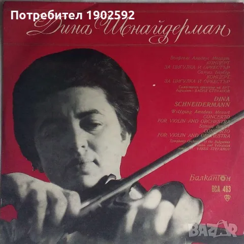 Дина Шнайдерман ВСА 463 