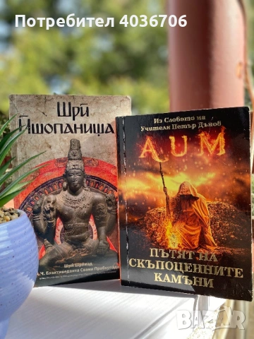 Книги, снимка 8 - Художествена литература - 53695666