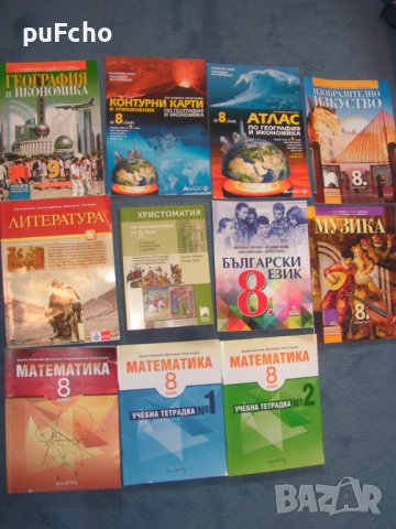 Учебници за 8 клас, снимка 2 - Учебници, учебни тетрадки - 42212371