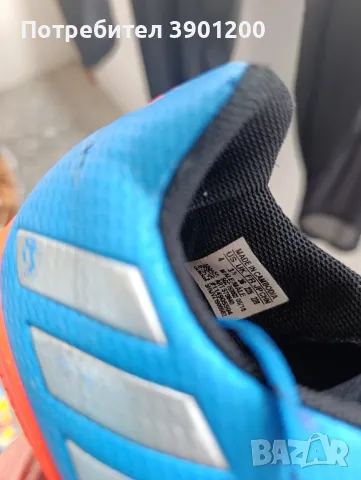 Стоножки , снимка 1