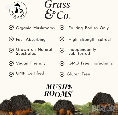 Grass & Co. BIOME - органична гъба чага на прах с куркума и джинджифил,без ГМО, без глутен 46 порции, снимка 2 - Хранителни добавки - 44207596
