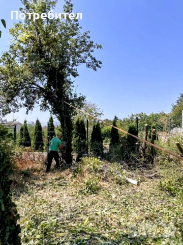 рязане на дърва за огрев и кастрене на дървета, снимка 4 - Други услуги - 51897190