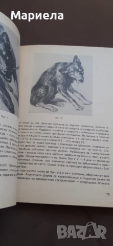 Инфекциозни заболявания при кучето, снимка 5 - За кучета - 50535058