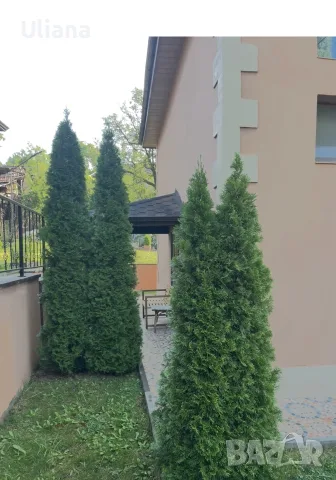 Продава се масивна санирана къща с панорамна тераса, гараж и прекрасно озеленен двор, снимка 10 - Къщи - 55972789