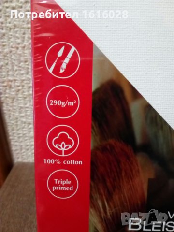 VAN BLEISWIJCK - Комплект от 3 броя Платна за рисуване, снимка 4 - Картини - 41037677