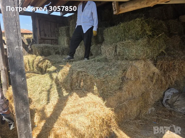 бали сено и люцерна , снимка 2 - За селскостопански - 55776584