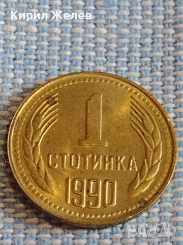Две монети 1 стотинка 1951г. / 1 стотинка 1990г. България перфектно състояние за КОЛЕКЦИЯ 39529, снимка 6 - Нумизматика и бонистика - 44429284