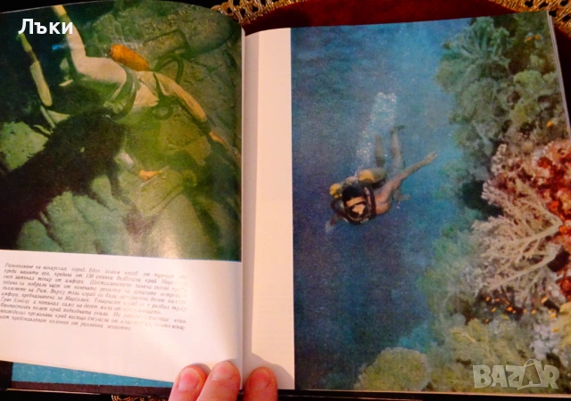 Живото море,капитан Жак-Ив Кусто. , снимка 3 - Художествена литература - 53124749