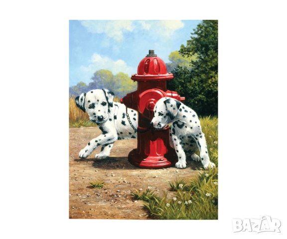 Комплект с акрилни бои Royal Junior, кученци-далматинци, снимка 1 - Рисуване и оцветяване - 41158261