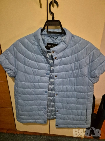 яке елек Радис