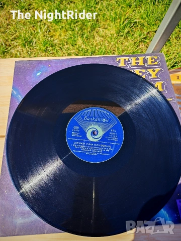 Грамофонна плоча , снимка 3 - Грамофонни плочи - 53667938