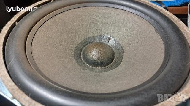 Braun 10", снимка 2 - Тонколони - 52607298