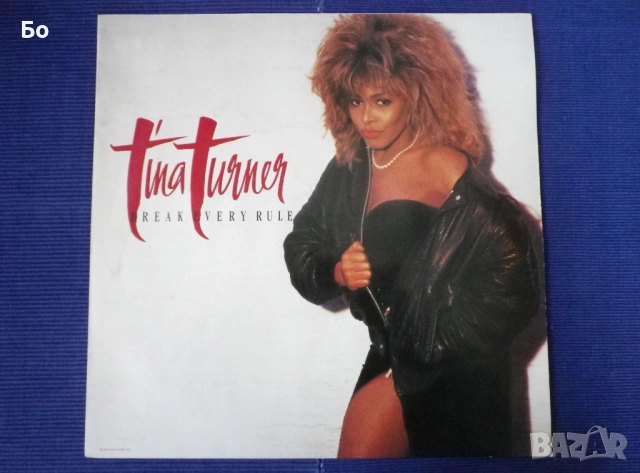 грамофонни плочи Tina Turner, снимка 8 - Грамофонни плочи - 52315211