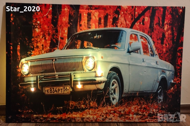 Светеща картина с LED осветление - Volga бяла, снимка 3 - Картини - 53269680