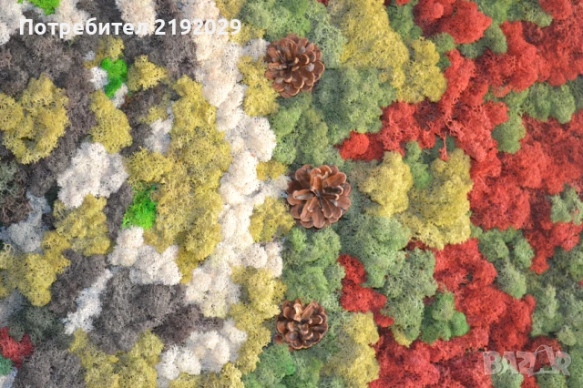 ПАНО със СКАНДИНАВСКИ МЪХ, снимка 3 - Пана - 51338306